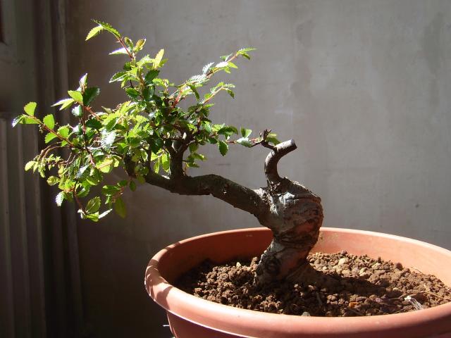 Image: sa550438-4a1679.jpg