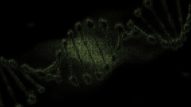 Digital DNA DreamScene