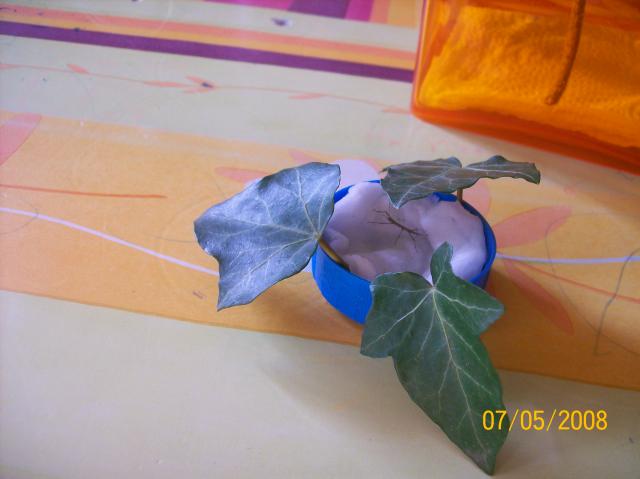 Image: 100_1982-3d8db8.jpg
