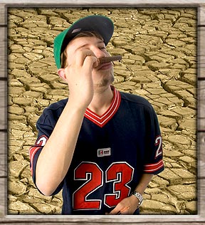 Dule-Disseny