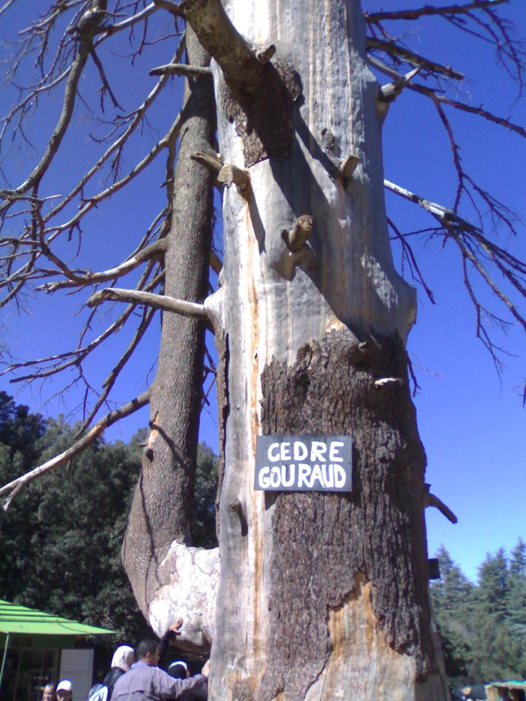 Image: 01032008033-323b7f.jpg