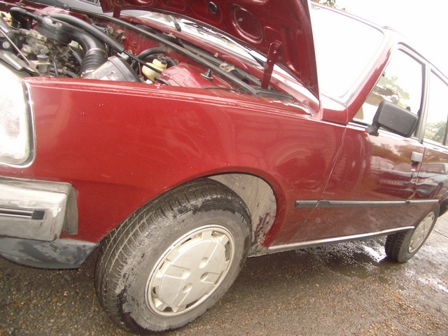 http://img26.xooimage.com/files/0/d/b/imgp2177-e82a7e.jpg