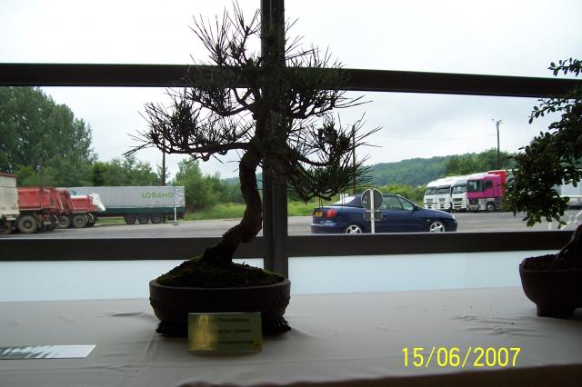 Image: 100_6894-42098c.jpg