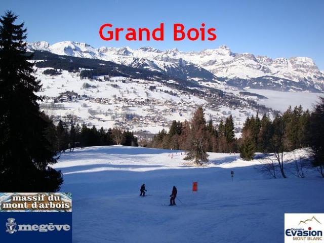 Grand bois; Megève Mont d'arbois Grand-bois-960477