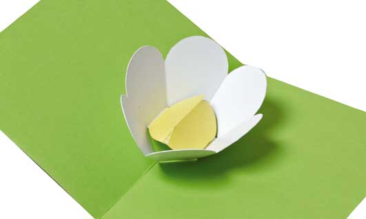 Image: carte_arbre_fleur3-52ea14.jpg