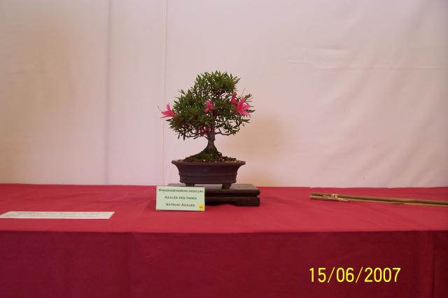 Image: 100_6862-42069c.jpg
