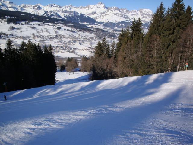 Grand bois; Megève Mont d'arbois Dsc00572-960758