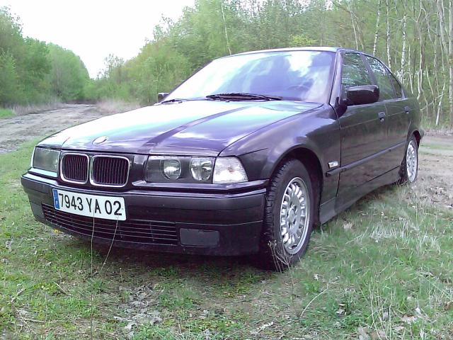 Image: imag0180-3442fc.jpg