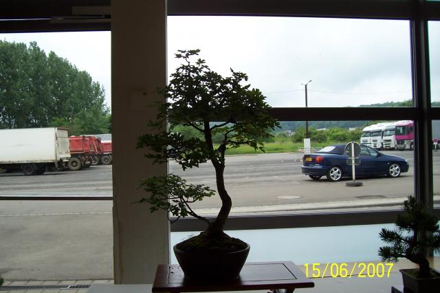 Image: 100_6892-420957.jpg