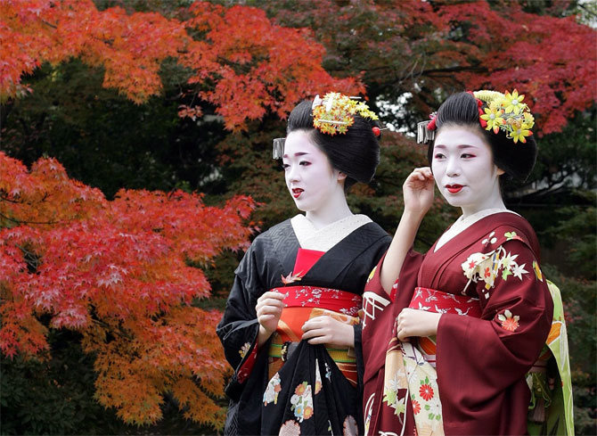 asiatiques-arbres-en-fleurs-river