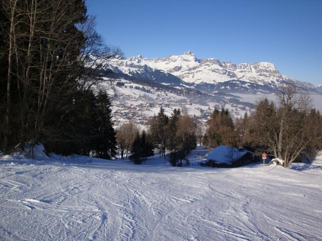 Grand bois; Megève Mont d'arbois Dsc00576-9607fd