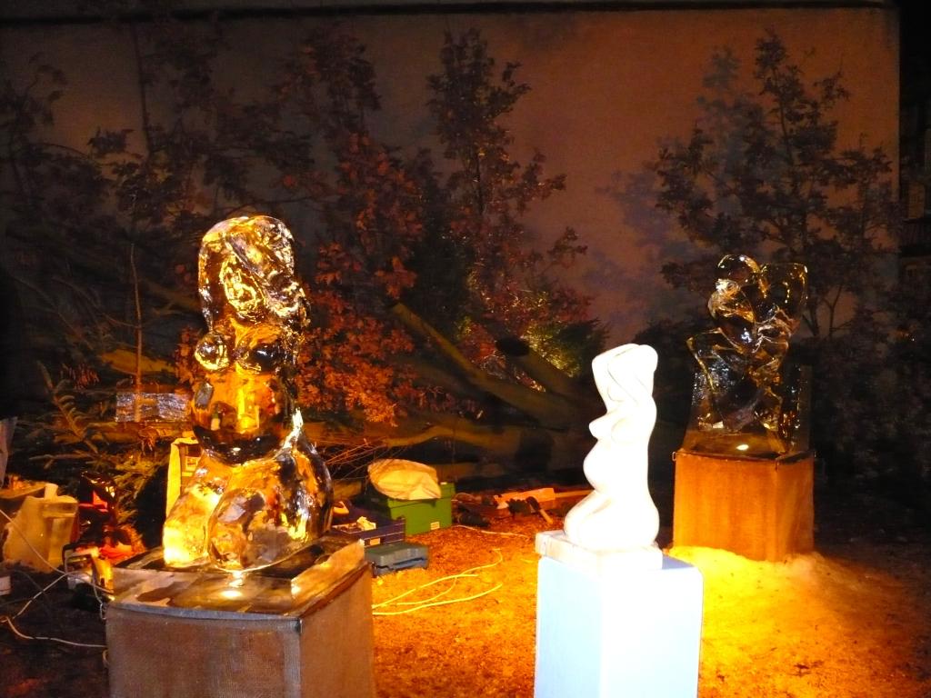 Image: 14-novembre-2008-012-943f38.jpg