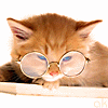 tn2_1200473912-3924a4.gif