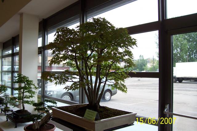 Image: 100_6891-420938.jpg