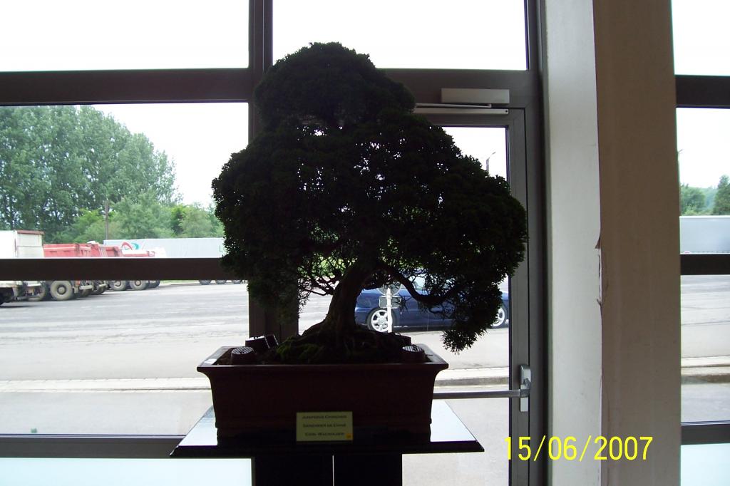 Image: 100_6897-4209e4.jpg