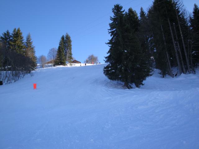 Grand bois; Megève Mont d'arbois Dsc00570-960714