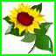 http://img26.xooimage.com/files/7/9/1/complainte-17147ba.gif
