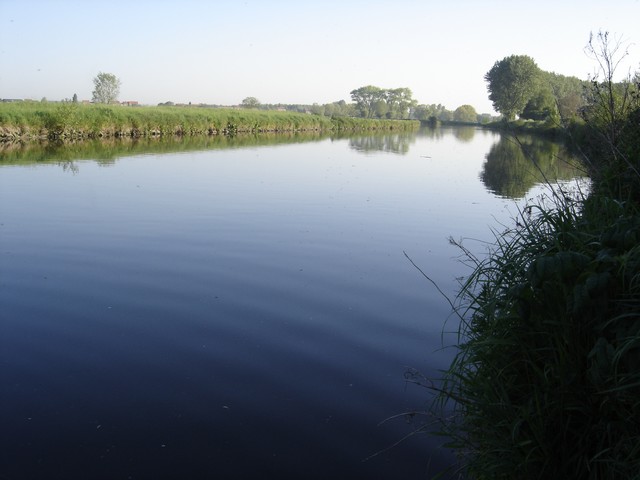 Première au "plat" Dsc01746-327d7e