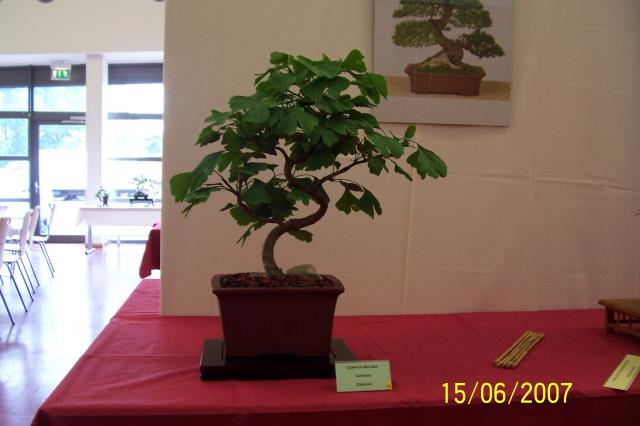 Image: 100_6848-420510.jpg