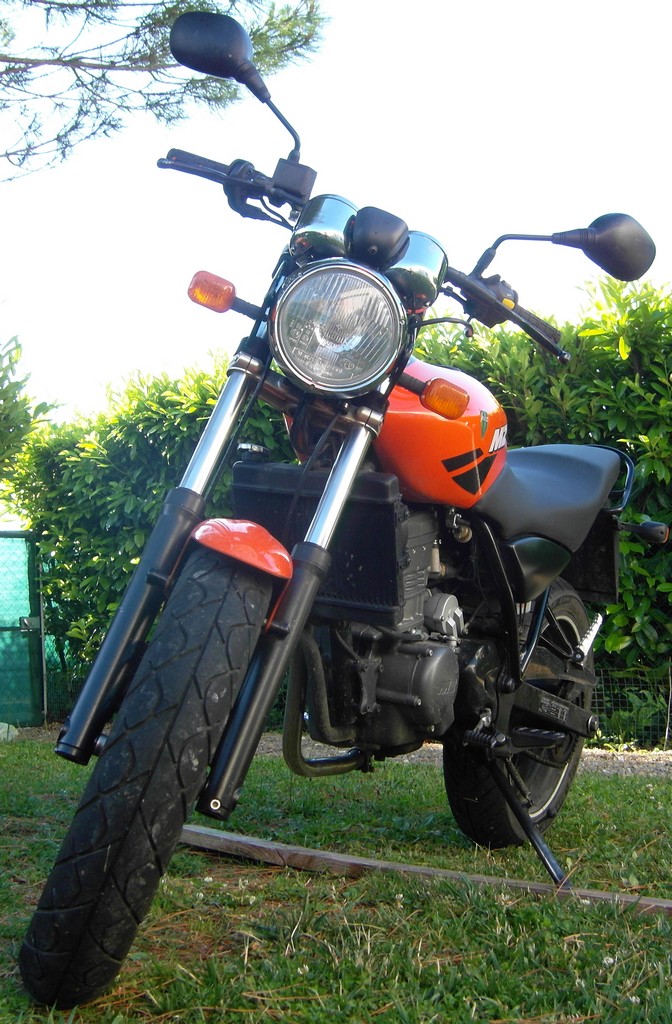 sdc11171-fbe443.jpg