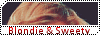 http://img26.xooimage.com/files/9/0/6/partenariat-12f7851.gif
