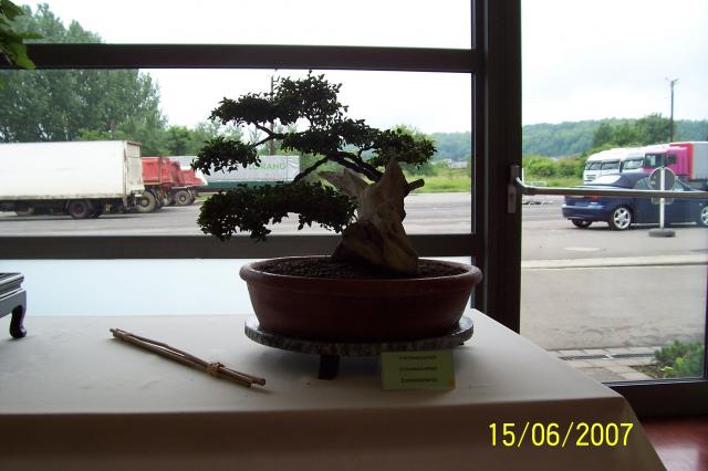 Image: 100_6886-4208a3.jpg