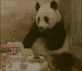 gif-humour-12--44d03d.gif