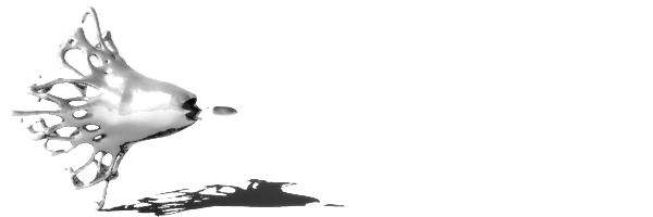 http://img26.xooimage.com/files/c/2/6/bullet_02-42893f.jpg