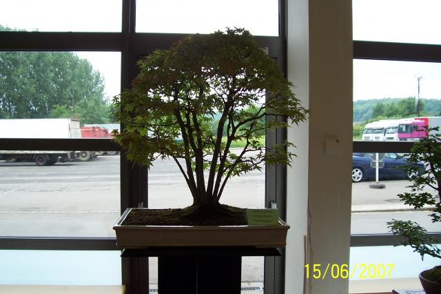 Image: 100_6887-4208ba.jpg