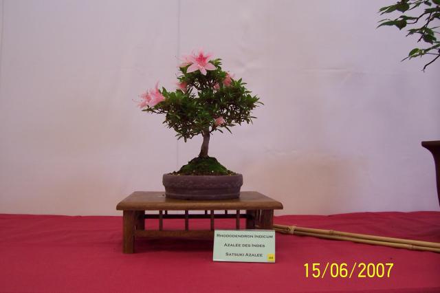 Image: 100_6873-4207a3.jpg