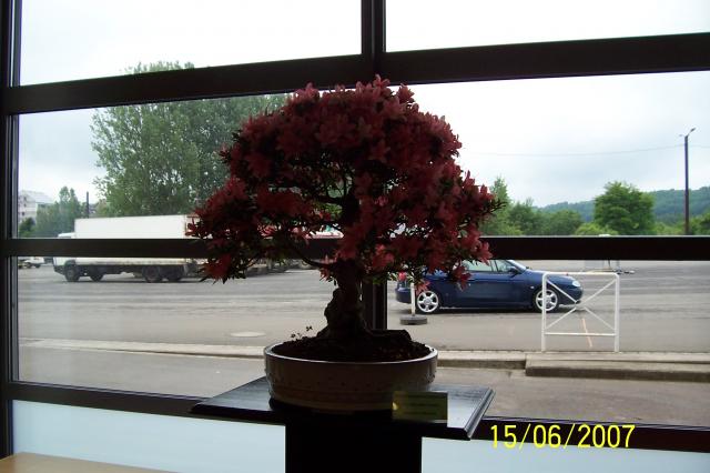 Image: 100_6907-420a68.jpg