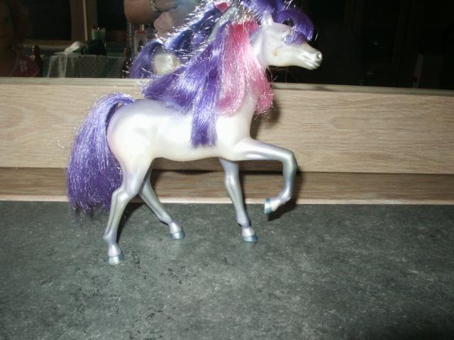 Image: poney-013-4b5302.jpg
