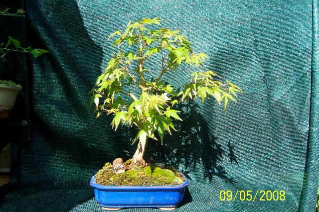Image: 100_6673-32b44b.jpg