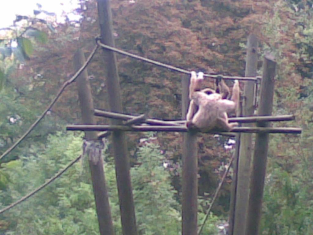 Image: 23092007-007--326063.jpg