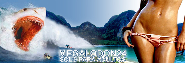 Megalodon24+18
