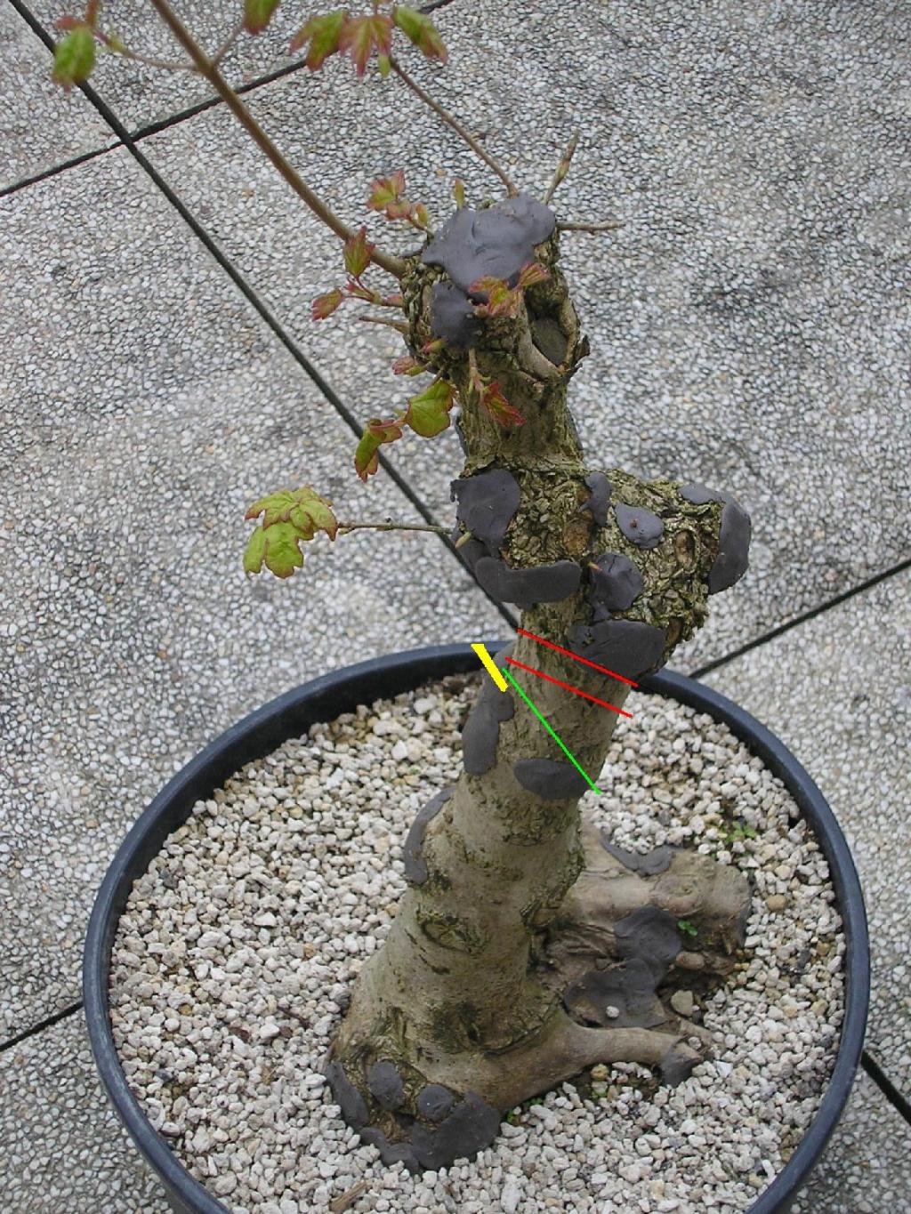 Image: projet-30ce45.jpg