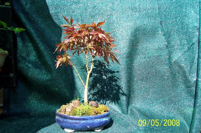 Image: 100_6674-32b42a.jpg