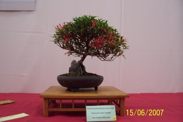 Image: 100_6847-4204fa.jpg